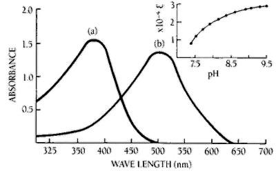 how to measure nag fig 2